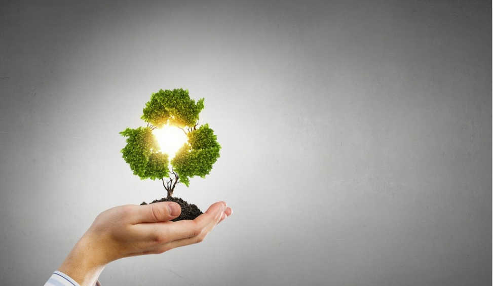 建筑模板生產(chǎn)廠(chǎng)家 建筑模板生產(chǎn)廠(chǎng)家