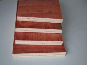 1689229320490086.jpg 慶泰圖.jpg